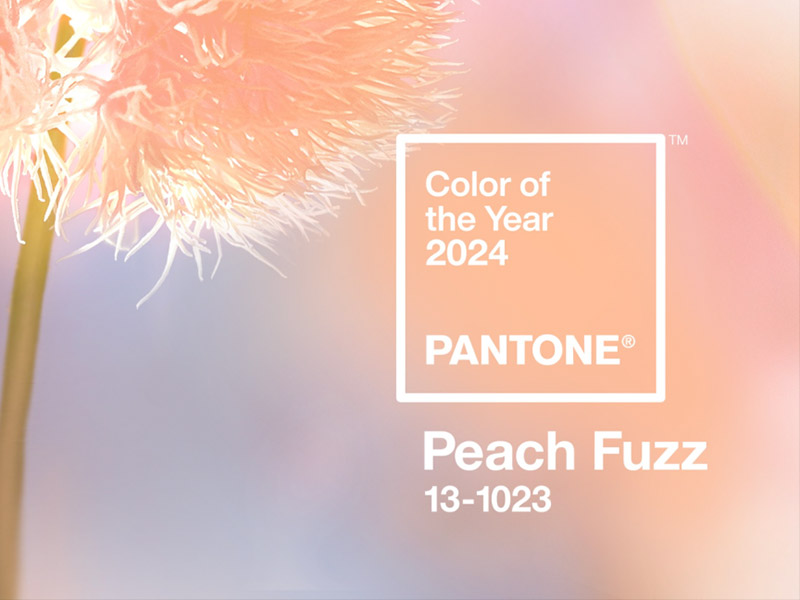 2024 年度代表色“Peach Fuzz 柔和桃” 2024 年度代表色“Peach Fuzz 柔和桃”